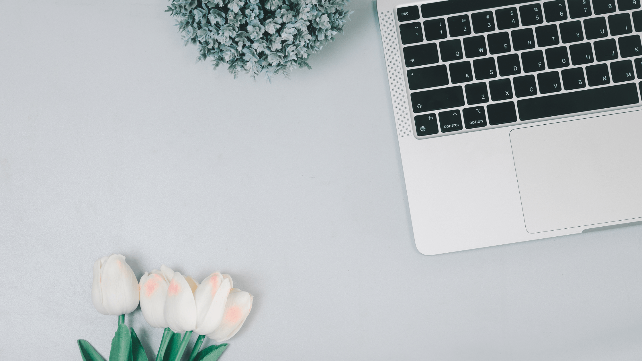 Optimizing Blog Content for Search Engine Recognition
